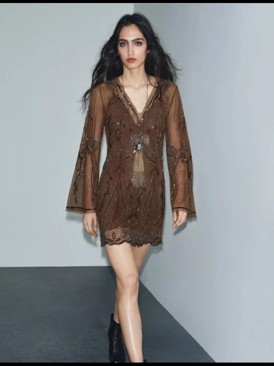 Zara Brown Sheer Beaded V-Neck Mini Dress - Picture 6 of 9